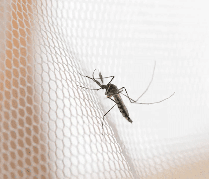 NCV3 2007-2018 Mercedes Sprinter Van Rear Insect Bug Screen ...